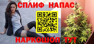 крисы Анжеро-Судженск