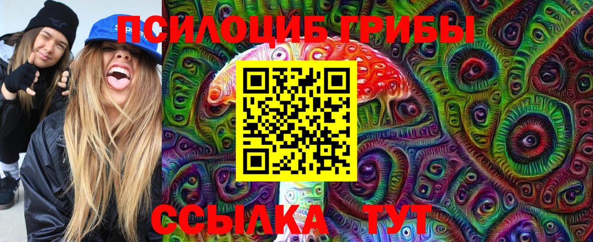 Псилоцибиновые грибы Cubensis Гурьевск