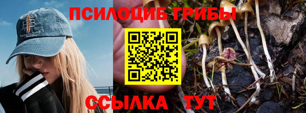Псилоцибиновые грибы прущие грибы  Вход с VPN  Псилоцибиновые грибы GOLDEN TEACHER  как найти наркотики  Гурьевск 